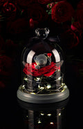 Heartfelt Everlasting Bloom Teddy Bear-0