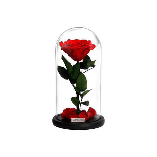 A Lovely Eternal Devotion Rose Box-1